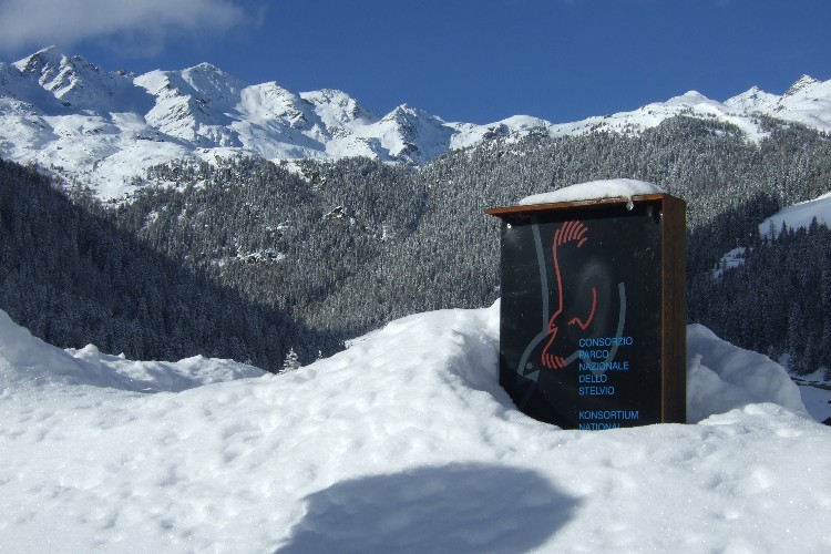 Val d''Ultimo innevata.